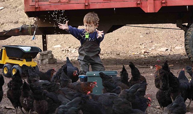 Kocaeli'de çiftçinin yüzünü güldüren destekler rakamlara yansıdı