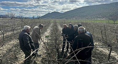 Korkuteli'nde çiftçilere budama eğitimi