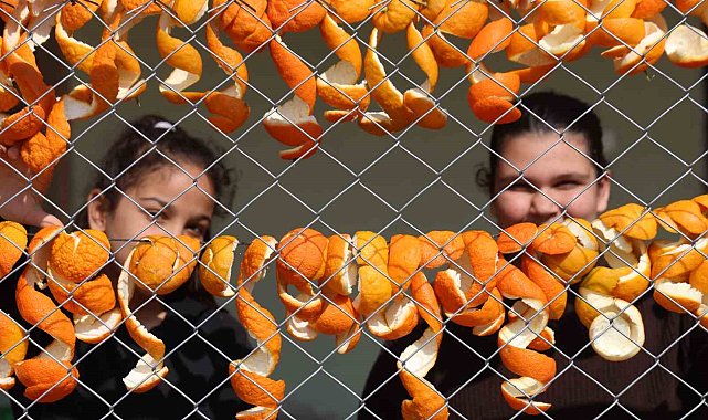 Limon ve turunç kabukları kadınların elinde değerleniyor