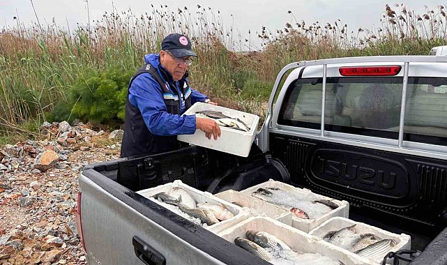 Milas'ta kaçak avcılığa geçit yok: 80 kilo kefal balığına el konuldu