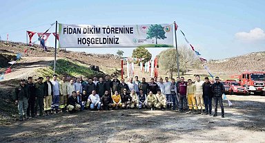 Milas'ta yanan sahalar fidanlarla canlanıyor