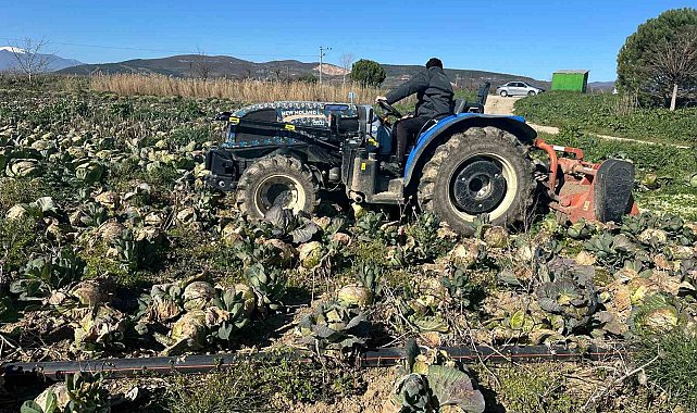 Pazarda 70 lira ama yüzbinlercesi tarlada çürüdü: Üreticiler Tarım Kredi'ye çağrı yaptı
