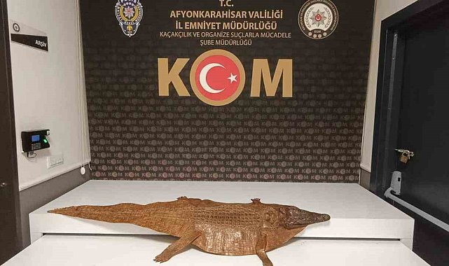 Polis durdurduğu araçta timsah derisi ele geçirdi