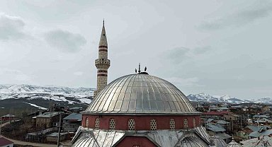 "Baharın habercisi" leylekler Muş Ovası'na gelmeye başladı