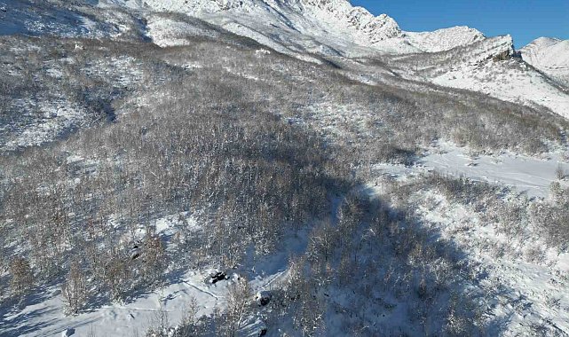 Şırnak'ta kar sonrası dağlar beyaza büründü