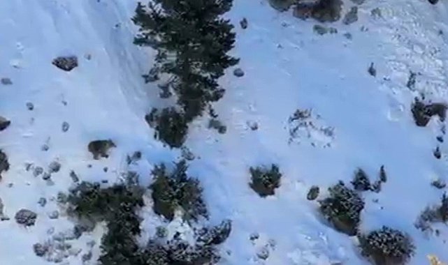 Uzundere'de buz tırmanışında ayı paniği