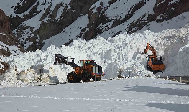 Van-Hakkari kara yolunda çığ sonrası çalışmalar sürüyor