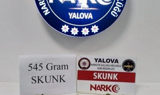 Yalova'da uyuşturucu operasyonları: 1 tutuklama