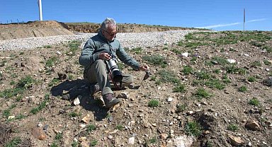 17 yeni memeli türü keşfedildi
