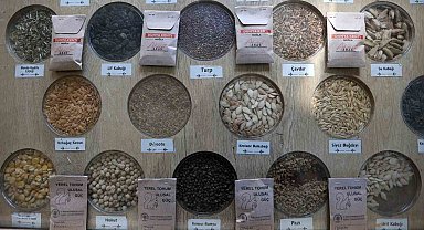 3 milyon yerel tohum dağıtıldı