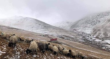 300 yıllık kullanıma müdahale tepki çekti
