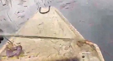 'Nilüfer Cenneti'nde kaçak avcılığa 'dur' denildi