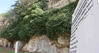 4 bin yıllık sarmaşığın gölgesinde baharı karşıladılar