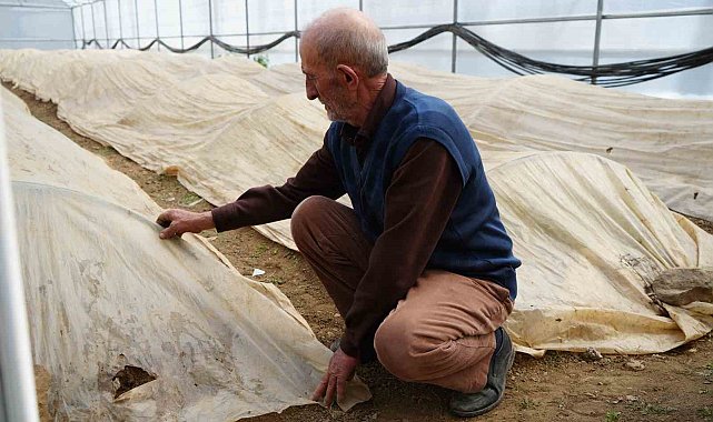 76 yaşındaki Bayburtlu üretici ata tohumları için zirai don nöbetinde