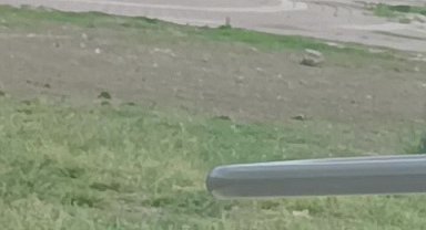 Adana'da tüfekli sopalı kavga kamerada