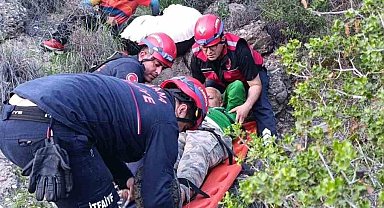 Adana'da yamaç paraşütü kazası: Ağaçta mahsur kaldı