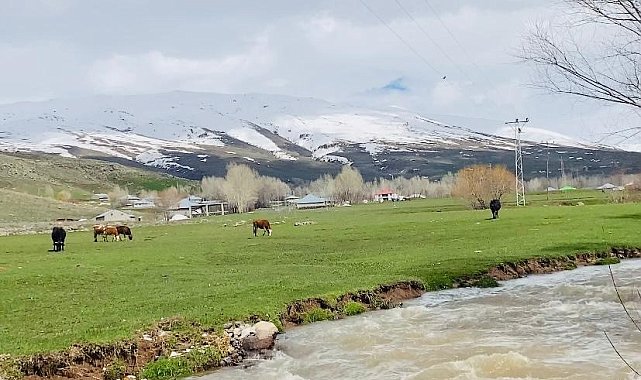 Ağrı'da iki mevsim bir arada