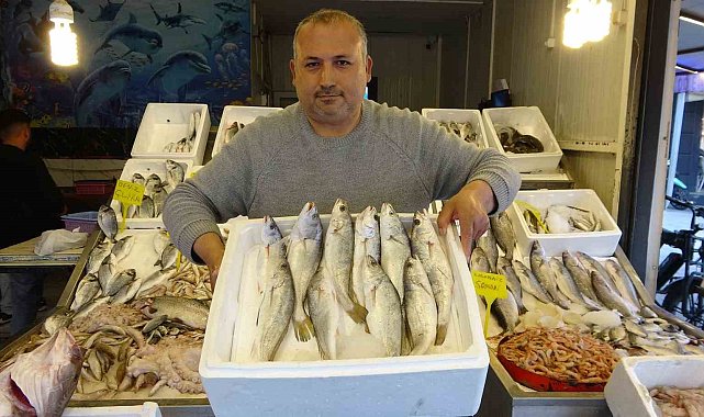 Akdeniz'de av yasağı başlıyor