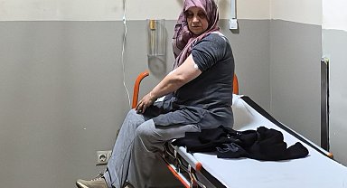 Akrep sokan kadın hastanelik oldu