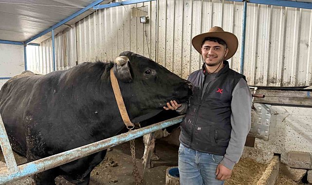 Aksiliklerinden kantara çıkamıyorlar: 4 yaşındaki dev tosunları gören bir daha bakıyor