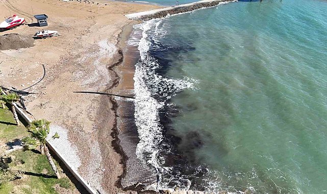 Alanya'da sahildeki siyah tabaka önce tedirgin etti, gerçek sonradan ortaya çıktı