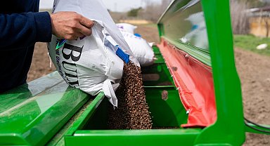 Ankara'da 2026 karabuğday ekim çalışmaları başladı