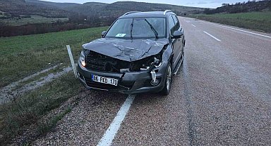 Ankara'da aracın çarptığı geyik telef oldu