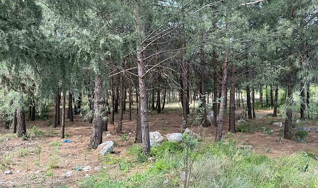 Anne ve oğlunu öldüren katil akrabaların çaldıkları altınları kuyumcuya sattıkları ortaya çıktı