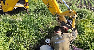 Antakya'da kuyuya düşen büyükbaş hayvan kurtarıldı