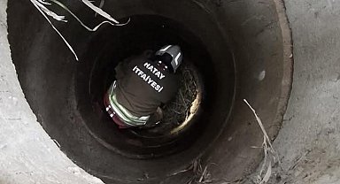 Antakya'da kuyuya düşen köpeği itfaiye kurtardı