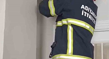 Asma tavanda sıkışan 4 yavru kedi kurtarıldı