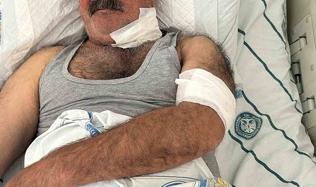 At sahibini boğazından ısırarak ağır yaraladı