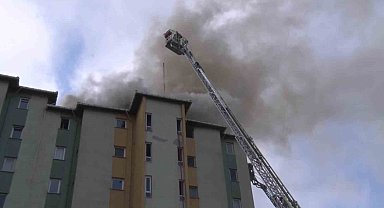 Ataşehir'de site içinde yangın: Sakat köpek mahsur kaldı