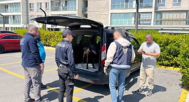 Avcılar'da köpeğe kötü muamelede bulunan şahıs yakalandı