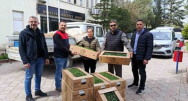 Babaeski'de üreticiye 2 bin kırmızı domates fidesi verildi