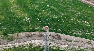 Baharın müjdecisi leylekler Elazığ'ı renklendiriyor