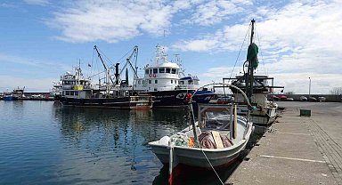 Balıkta bereketli sezon: "Halk bu yıl balığa doydu"