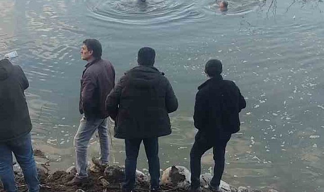 Baraj gölüne uçan otomobildeki sürücüyü ekipler kurtardı