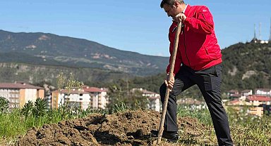 Başkan Çetinkaya bademin karşılığını emeğiyle ödedi