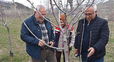 Bayburt'ta üreticilere aşılama ve budama eğitimi verildi