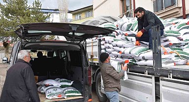 Bayburt'ta üreticilere yüzde 75 hibeli nohut tohumu dağıtıldı
