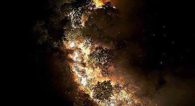 Beykoz'daki orman yangını 9 saatte kontrol alındı