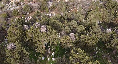 Beyşehir'de yuvalar şenlendi, leylekler vadisi canlandı