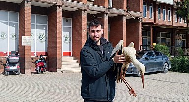 Bilecik'te yaralı leylek koruma altına alındı