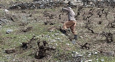 Bir yanda karla mücadele, diğer yanda budama çalışmaları sürüyor