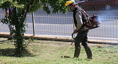 Bozdoğan'da çevre düzenleme çalışmaları sürüyor