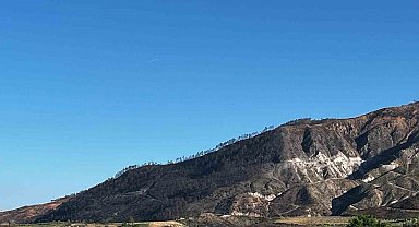 Buldan'da 5 gün süren yangının izleri dağlarda kaldı