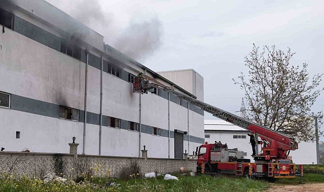 Bursa'da mobilya fabrikasında korkutan yangın
