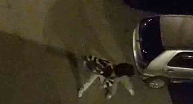 Bursa'da sokak ortasında boks ringlerini aratmayan kavga kamerada