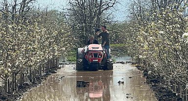Bursa'da yüzlerce dönüm şeftali ve armut bahçesi su altında
